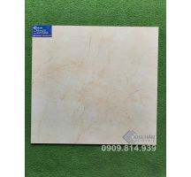 ĐÁ BÓNG KIẾNG 60X60 KHT7202