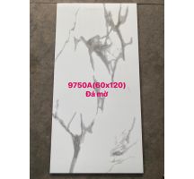 Gạch mờ 60x120 cao cấp, gạch mờ 60x120 trắng vân mây giá rẻ