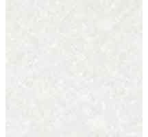 Đá bóng kiếng Đồng tâm DTD 8080 Truongson 004-FP