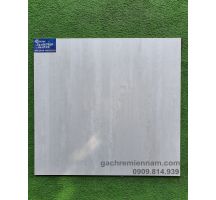 ĐÁ MỜ NHÁM 60X60 APPOLLO 664505