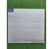 GẠCH MỜ 60X60 HOÀNG GIA 6027