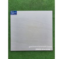 ĐÁ MỜ 60X60 VIGLACERA 6910