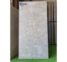 GẠCH LÁT NỀN MỜ MỊN 60X120 NHẬP KHẨU