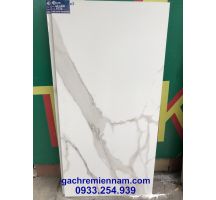 GẠCH ỐP TƯỜNG ẤN ĐỘ, GẠCH LÁT NỀN ẤN ĐỘ 60X120 6229M
