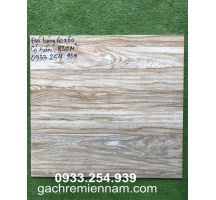 GẠCH 60X60 LÁT NỀN GIÁ RẺ VÂN GỖ BÓNG