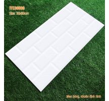 GẠCH ỐP TƯỜNG MONALISA 30X60 36030