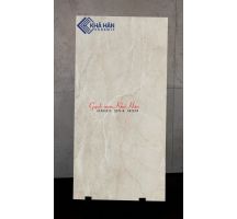 Gạch Ấn Độ 60x120 bóng kiếng vân đá nâu KHP602002