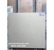 GẠCH Ý MỸ 60X60 P67002
