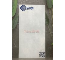 Gạch mờ 60x120 Ấn Độ Piano LT Đại pý phân phối gạch Ấn Độ Sài Gòn