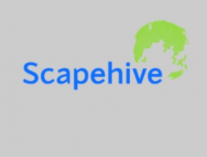 Gạch Ấn Độ thương hiệu Scapehive - Uy tín và chất lượng