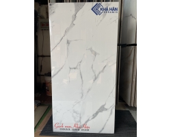 3010 Mẫu gạch 60x120 Ấn Độ mới nhất 2023  tại miền nam