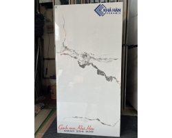 Mẫu gạch Ấn Độ 60x120 và bảng giá mới nhất 2023 khu vực Miền Nam