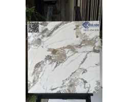 Nhà phân phối bóng kiếng 60x60 KH5166