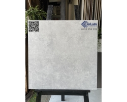 Tổng kho gạch lát nền nhà đẹp 60x60 KH 6601