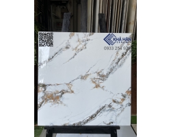 Gạch lát nền nhà đẹp 60x60 KH 6683