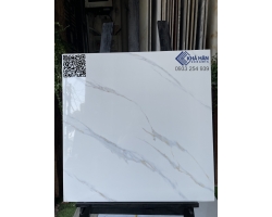 Nhà phân phối gạch lát nền 60x60 KH 6831