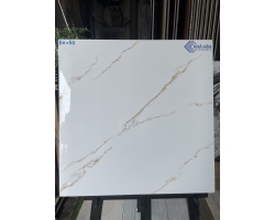 Gạch bóng kiếng 60x60 lát nền vân sọc mạ vàng